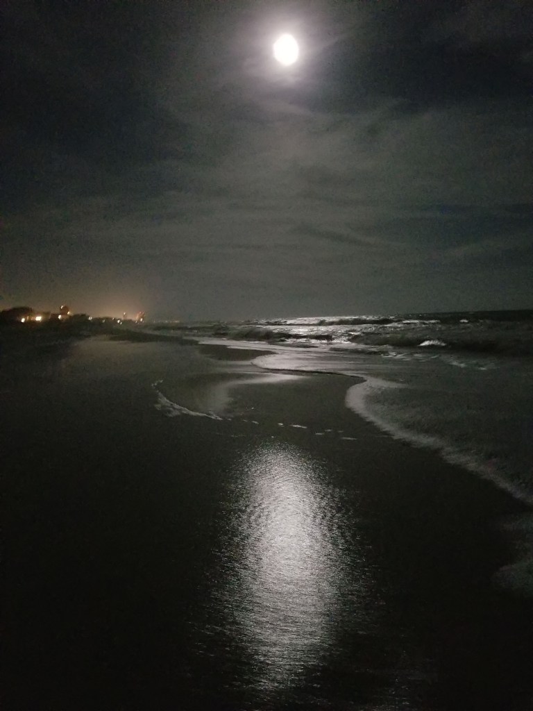 Moonlight Over Gulf Shore Alabama