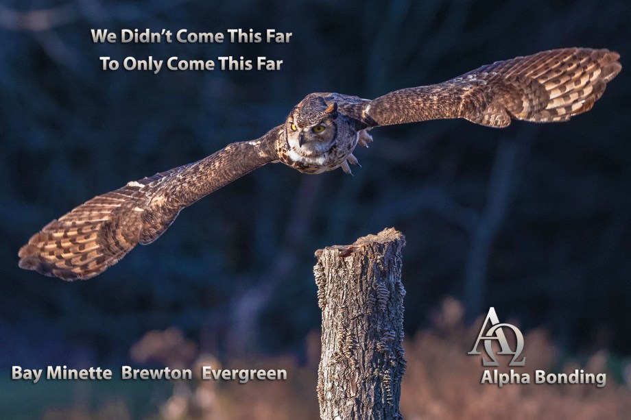 Alpha Bonding Bail Bonds Alabama